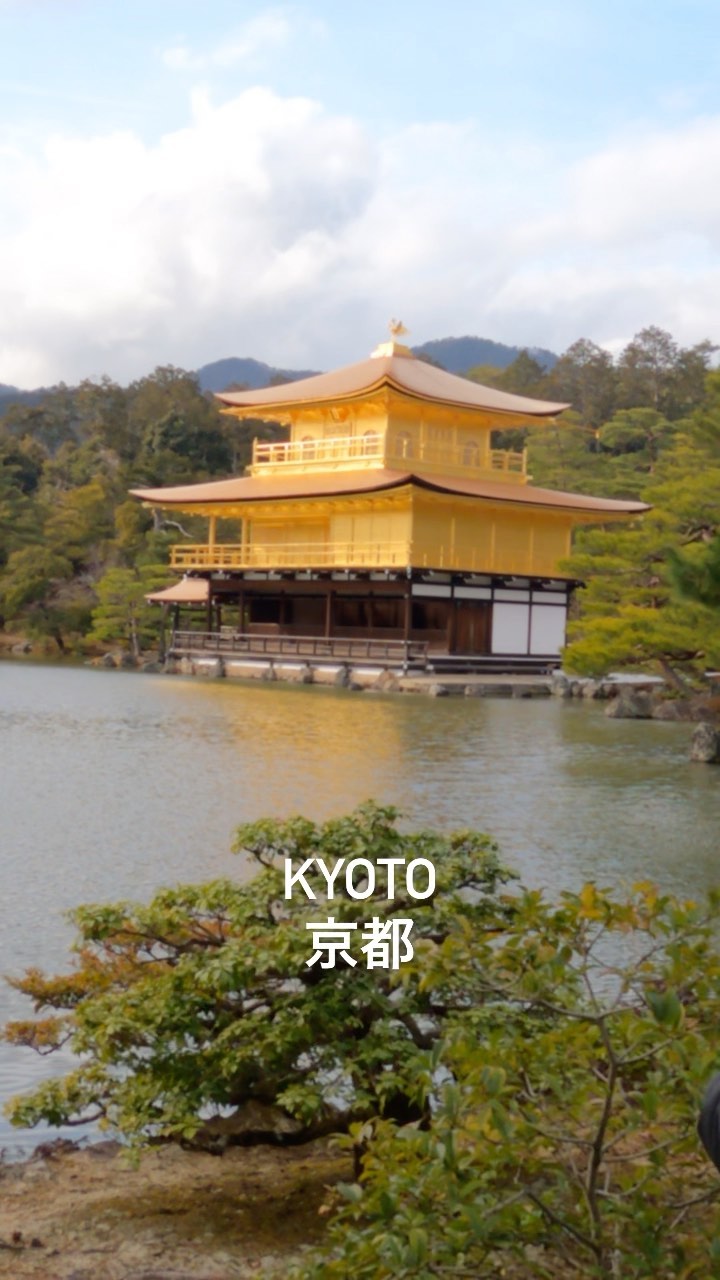 Golden Temple ,Kyoto Japan #京都 #京都観光 #kyototrip #kyotojapan #kyoto #bikashyu