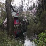 Amazon.co.jp Best Sellers: The most popular items on Amazon Japan